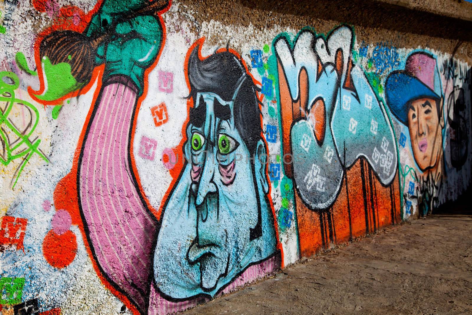 Sample of a kind of urban culture that comes true on the basis of painting the walls with spray and that commonly  is called Graffiti