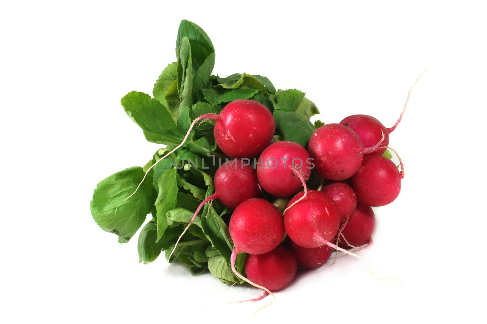 a bunch of radishes 