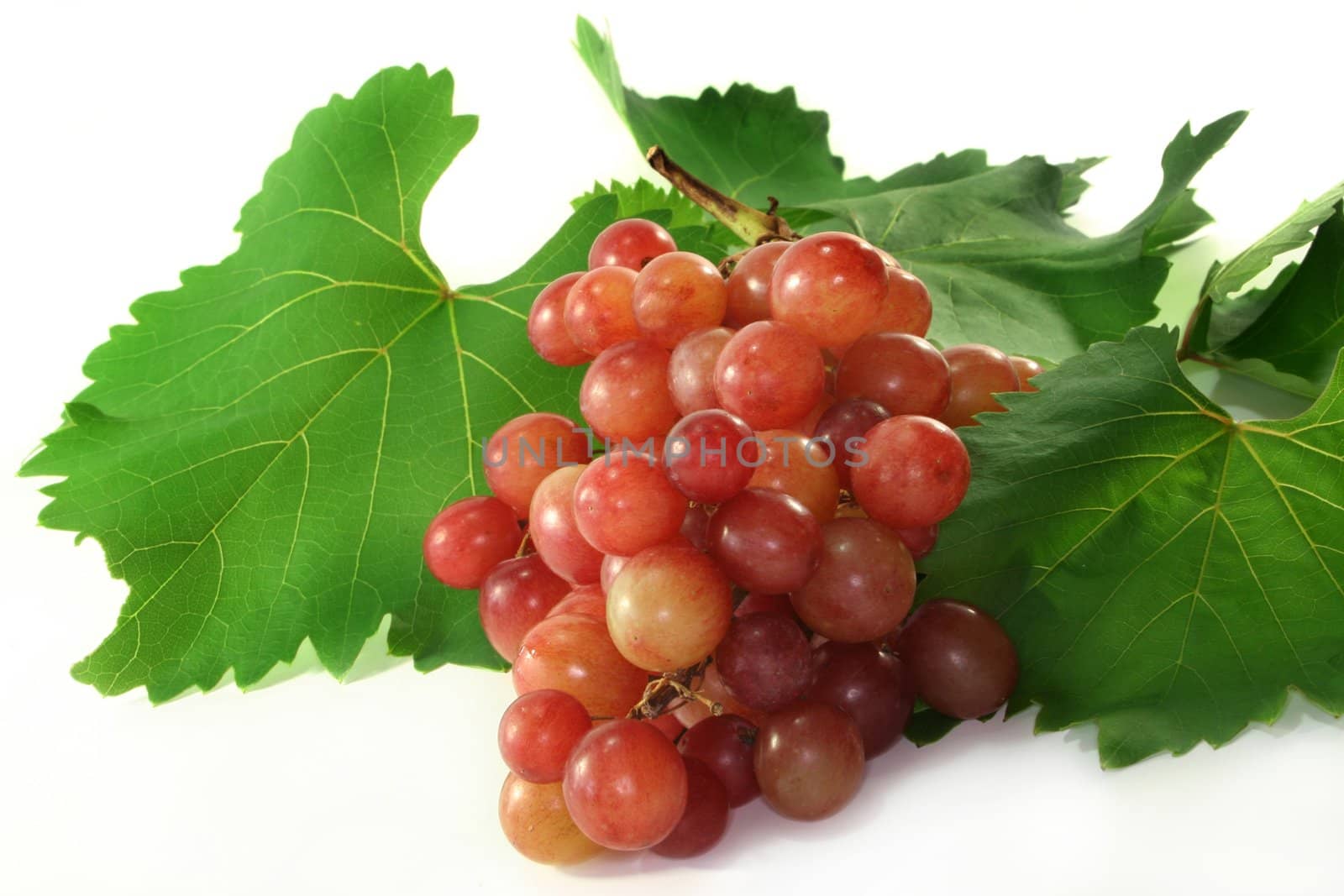 Grapes and vine leaves on a white background