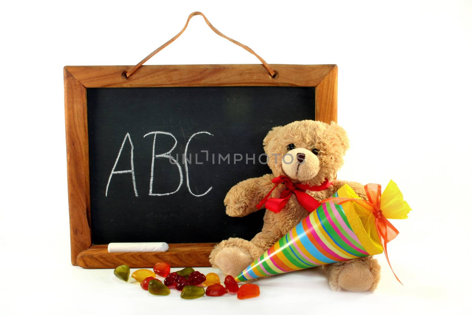 School board and Teddy with school cone on a white background