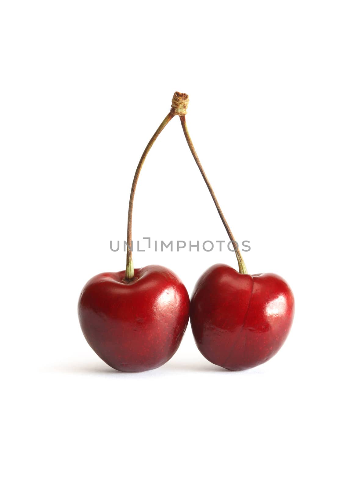 Sweet Cherry On White by kvkirillov