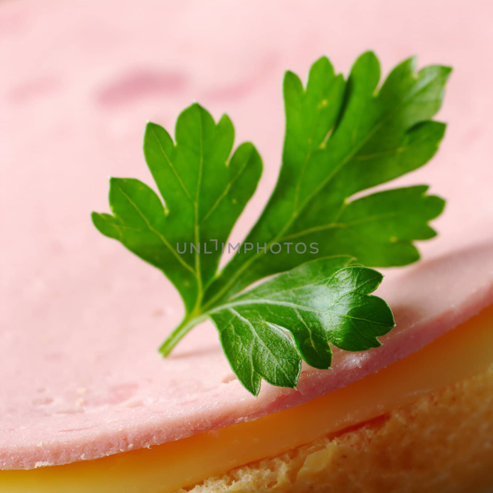 Parsley leaf on a cold cut and cheese sandwich (Very Shallow Depth of Field, Focus on the front of the parsley and the front of the cold cut slice)