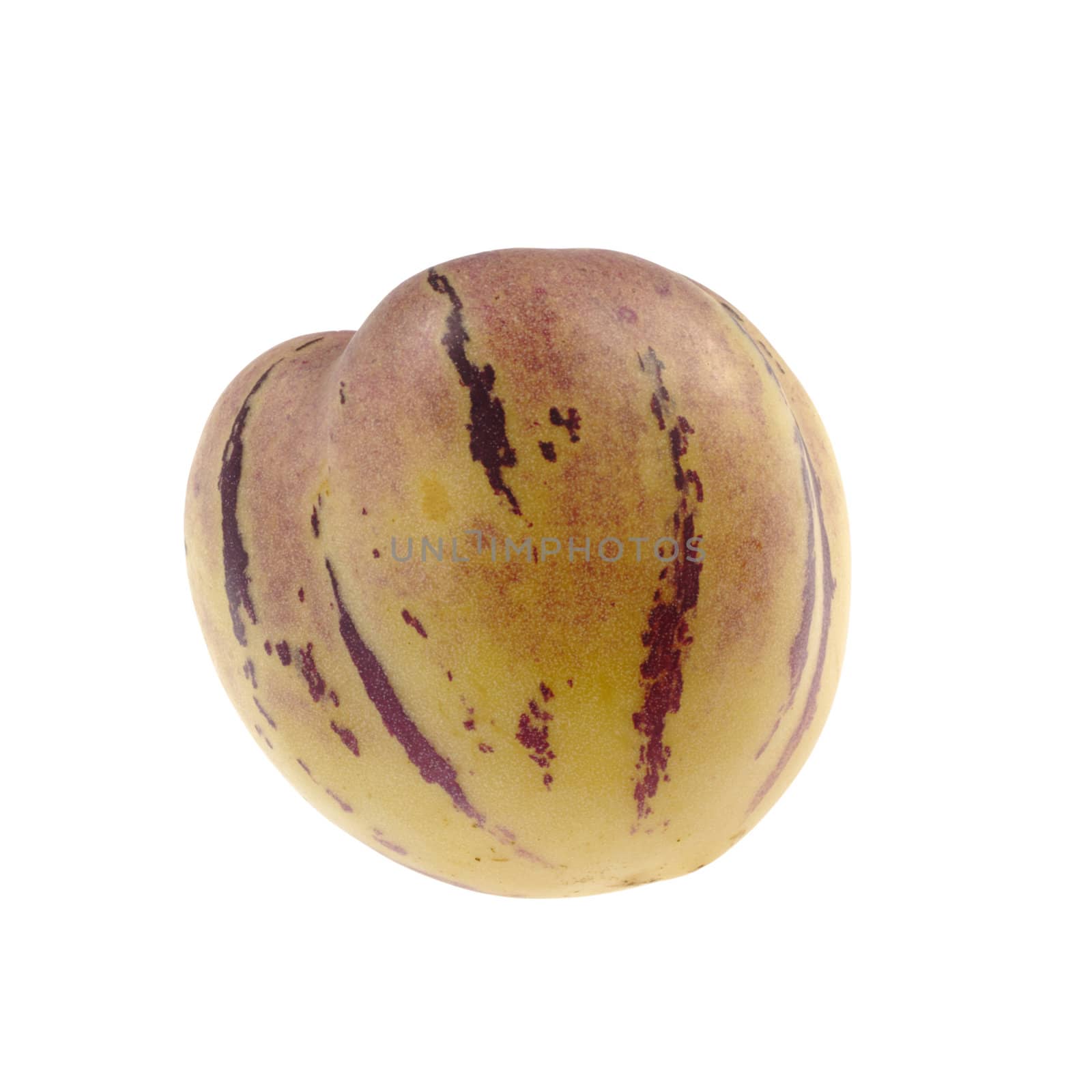 Sweet pepino (lat. Solanum Muricatum), a South American sweet but refreshing cucumber-like fruit, studio isolated on white 