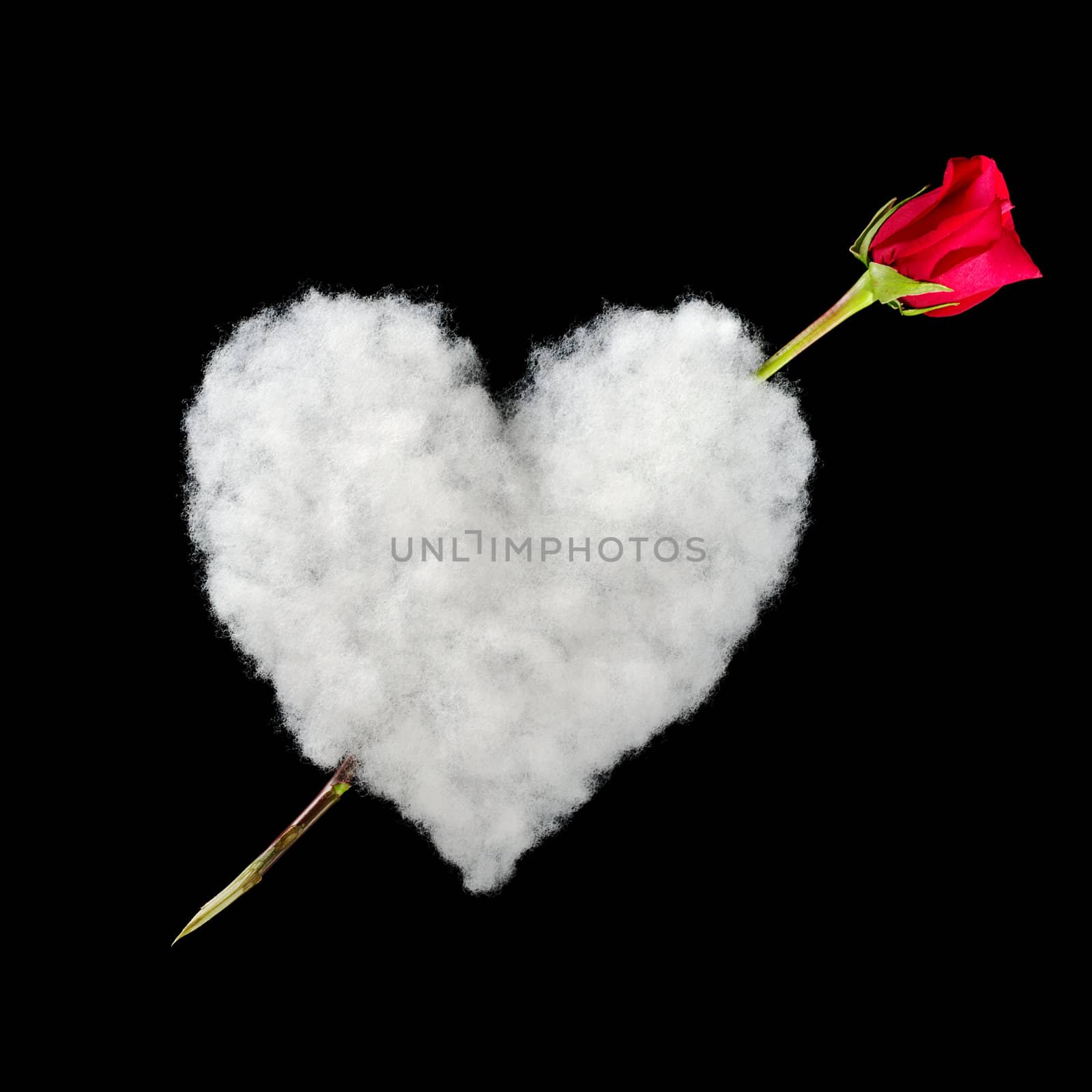 Amor: White heart out of cotton with red rose as arrow photographed on black