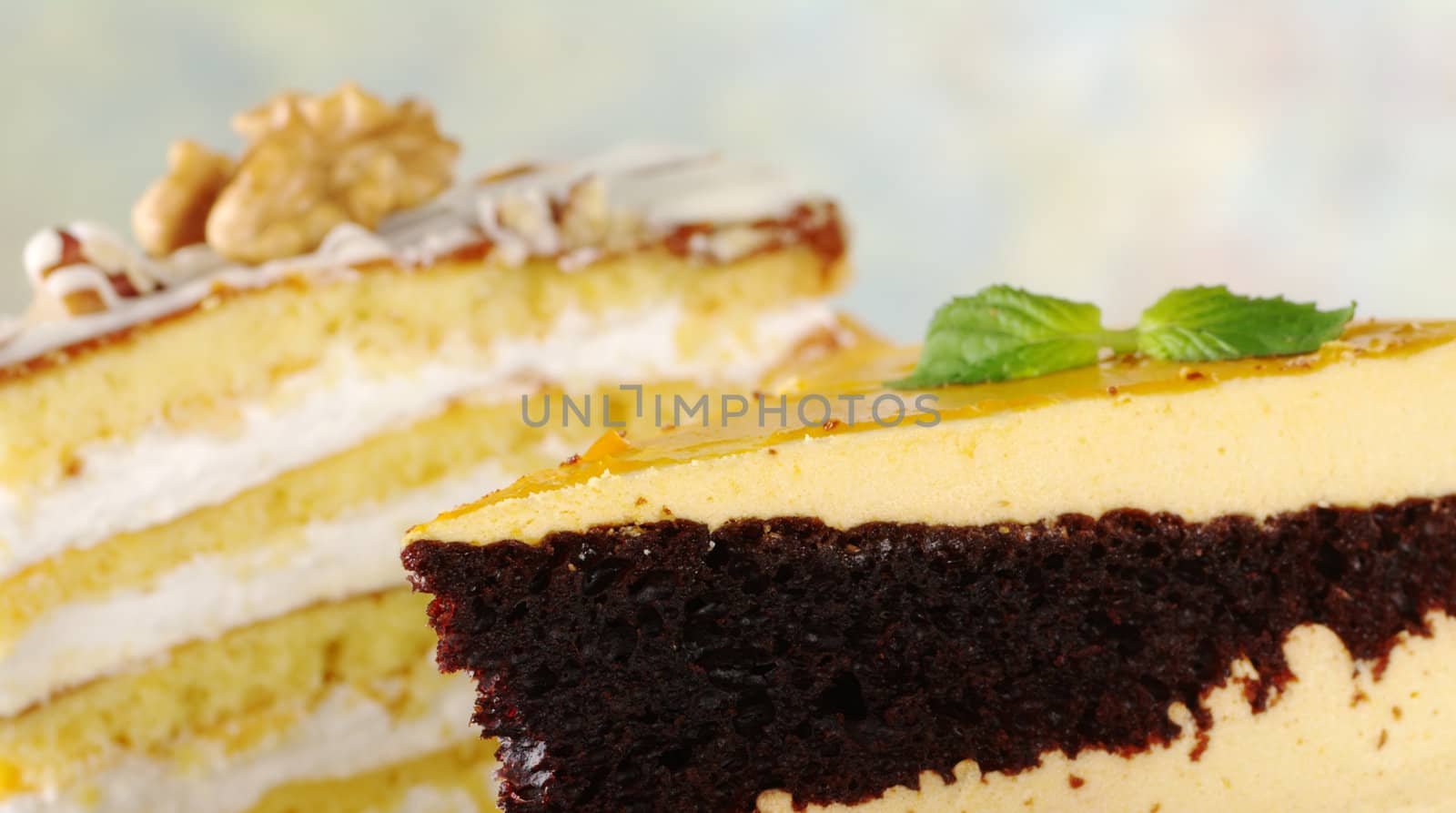 Lucuma and walnut layer cakes (Selective Focus, Focus on the left front part of the lucuma cake) 