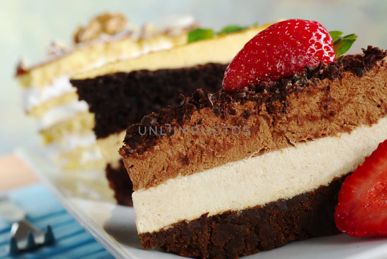 Layer cakes on a long plate: Chocolate Mousse Cake, Lucuma Cake and Walnut Cake (Selective Focus, Focus on the cake in the front)