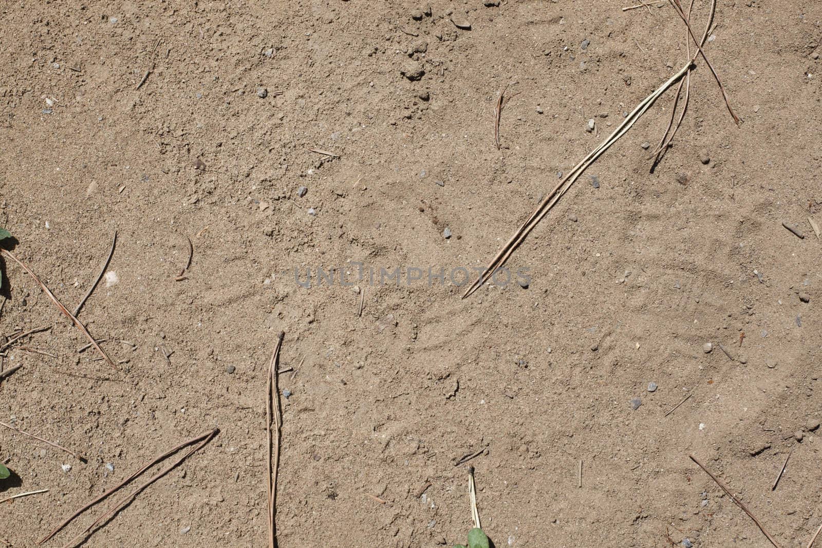 Sand background