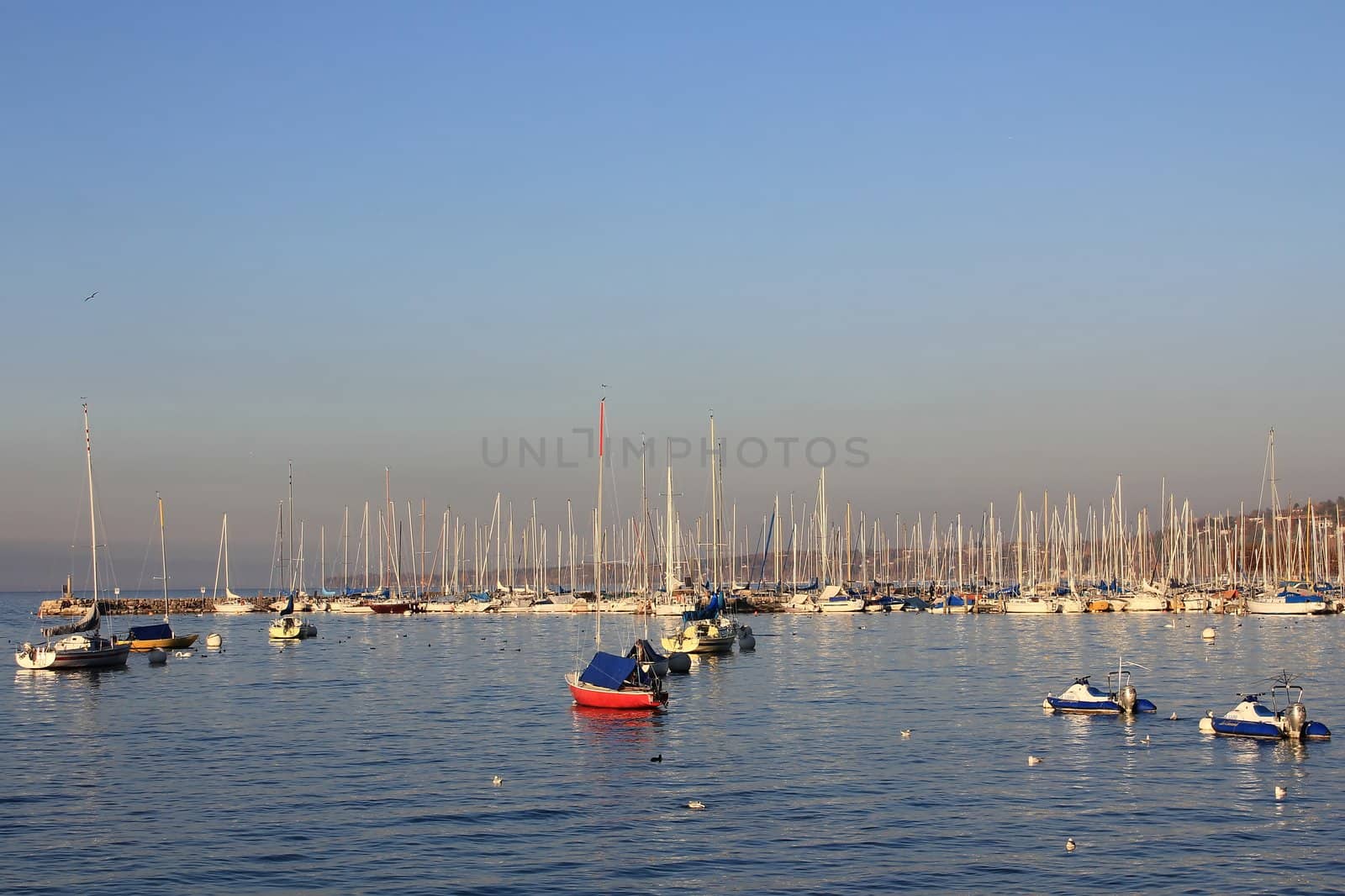 boats and lake in Geneva, Switzerland