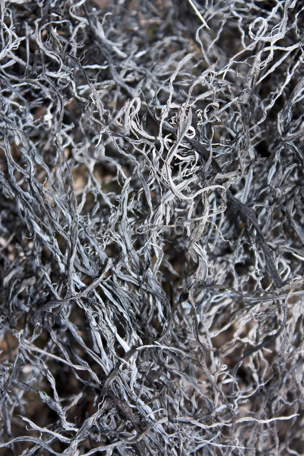 The texture of hot ash