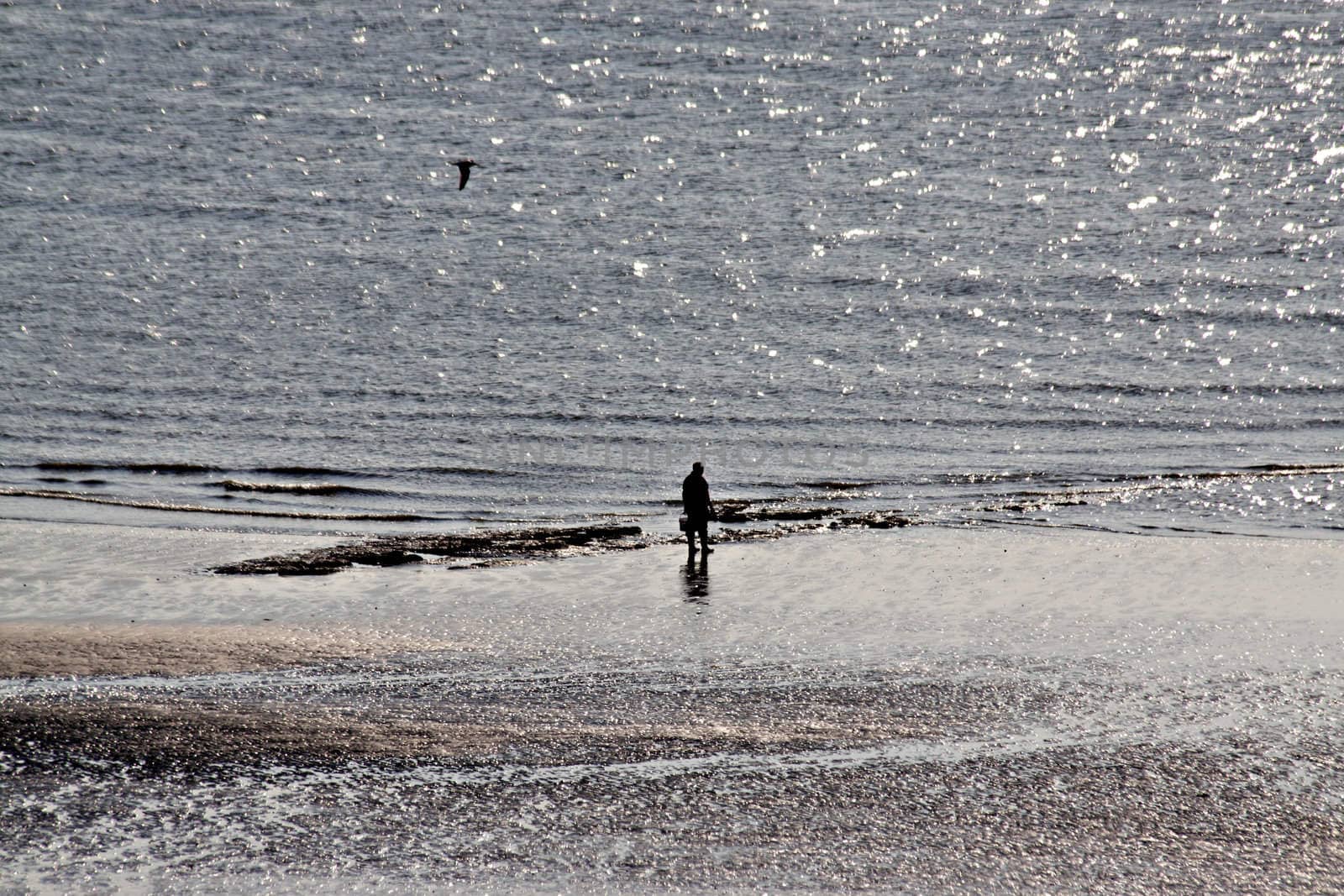 Person walking on the beach in the sunset