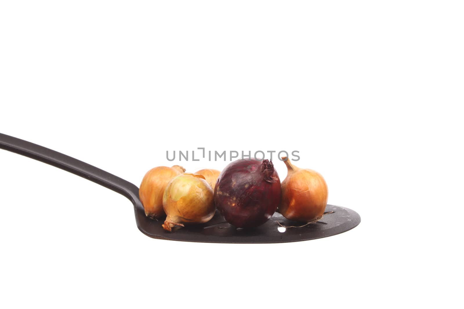 Onion on a spoon against a white background