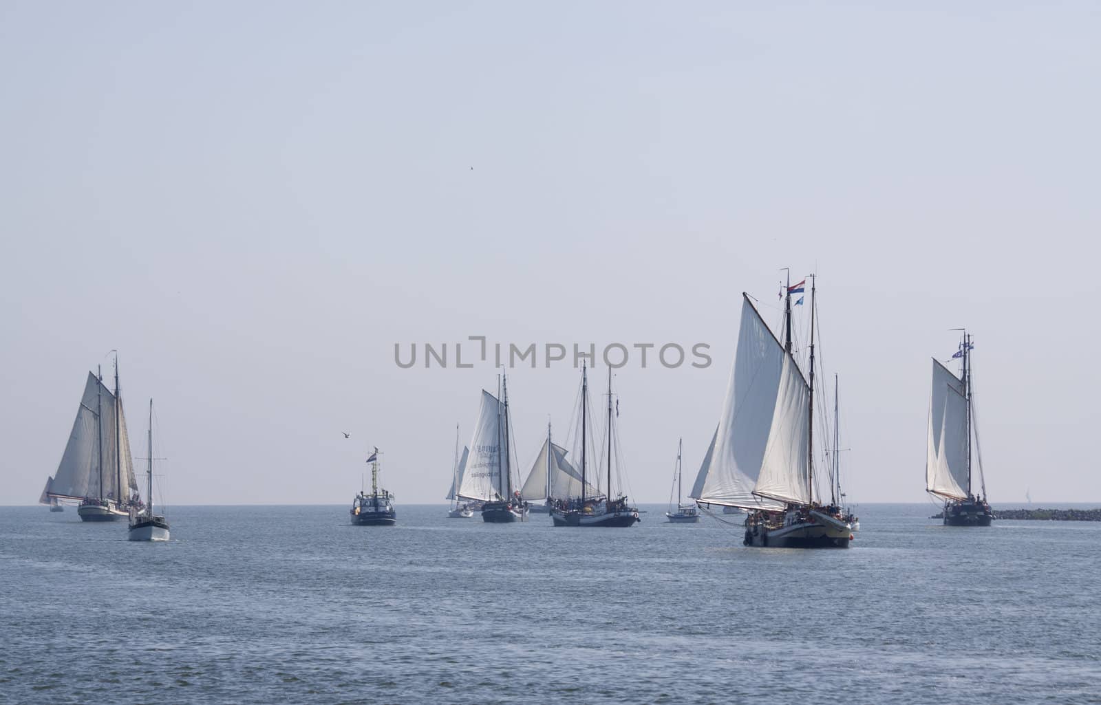 Old sail ships leaving the former harbour-town Enkhuizen