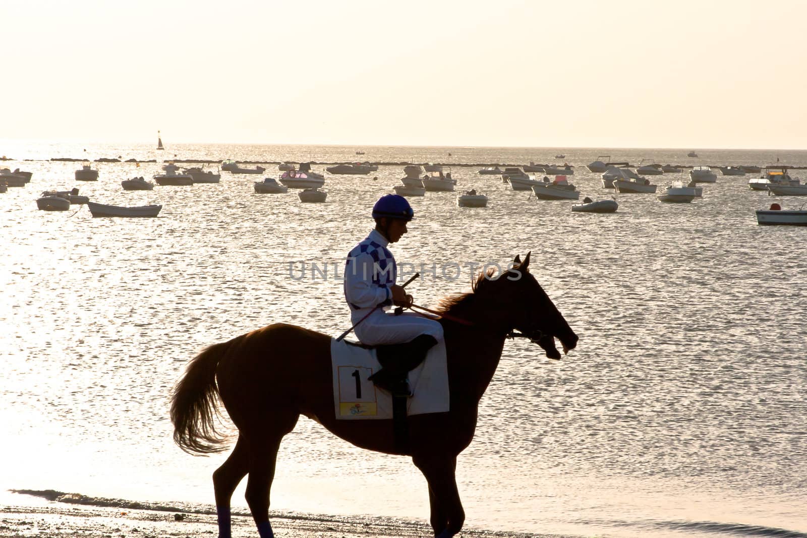 SANLUCAR DE BARRAMEDA, CADIZ, SPAIN - AUGUST 10: Unidentified rider at the start of race horses on Sanlucar de Barrameda beach on August 10, 2011 in Sanlucar de Barrameda, Cadiz, Spain.