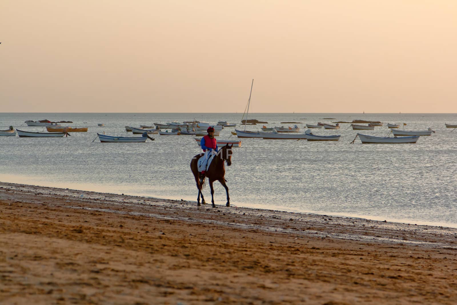 SANLUCAR DE BARRAMEDA, CADIZ, SPAIN - AUGUST 10: Unidentified rider at the start of race horses on Sanlucar de Barrameda beach on August 10, 2011 in Sanlucar de Barrameda, Cadiz, Spain.