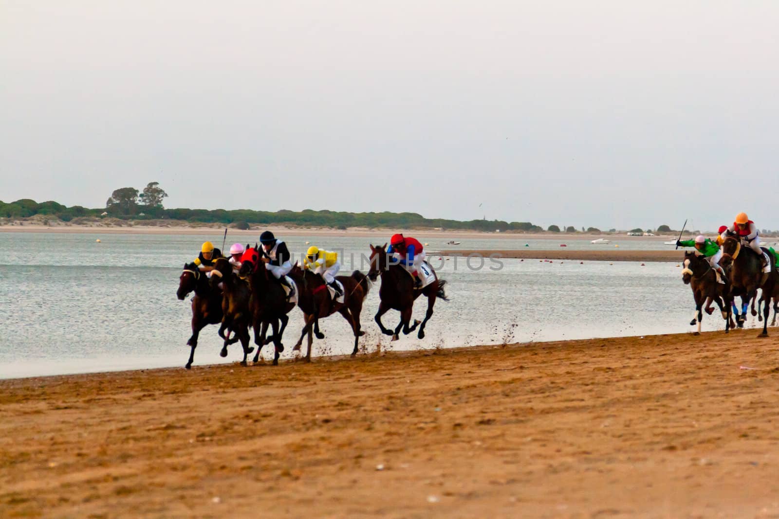SANLUCAR DE BARRAMEDA, CADIZ, SPAIN - AUGUST 10: Unidentified riders race horses on Sanlucar de Barrameda beach on August 10, 2011 in Sanlucar de Barrameda, Cadiz, Spain.