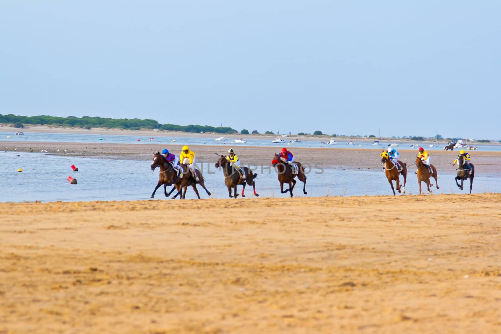 SANLUCAR DE BARRAMEDA, CADIZ, SPAIN - AUGUST 11: Unidentified riders race horses on Sanlucar de Barrameda beach on August 11, 2011 in Sanlucar de Barrameda, Cadiz, Spain.