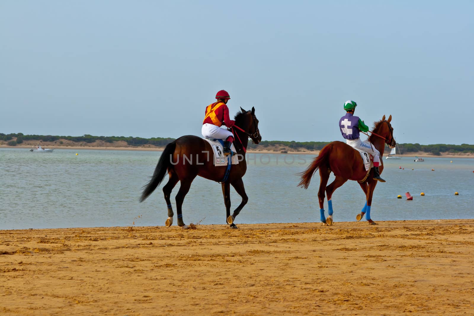 SANLUCAR DE BARRAMEDA, CADIZ, SPAIN - AUGUST 11: Unidentified riders at the start of race horses on Sanlucar de Barrameda beach on August 11, 2011 in Sanlucar de Barrameda, Cadiz, Spain.