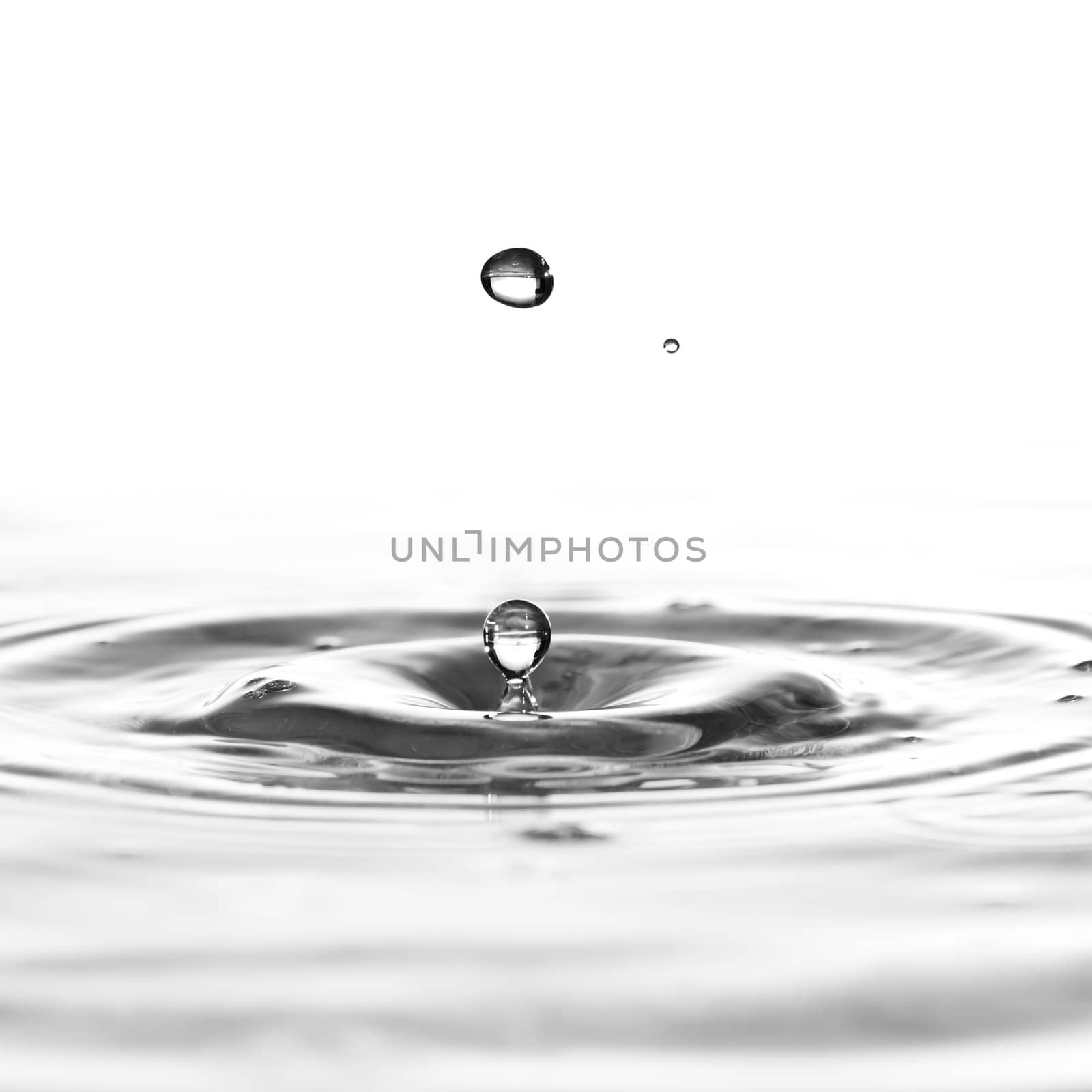 A water drop black and white background