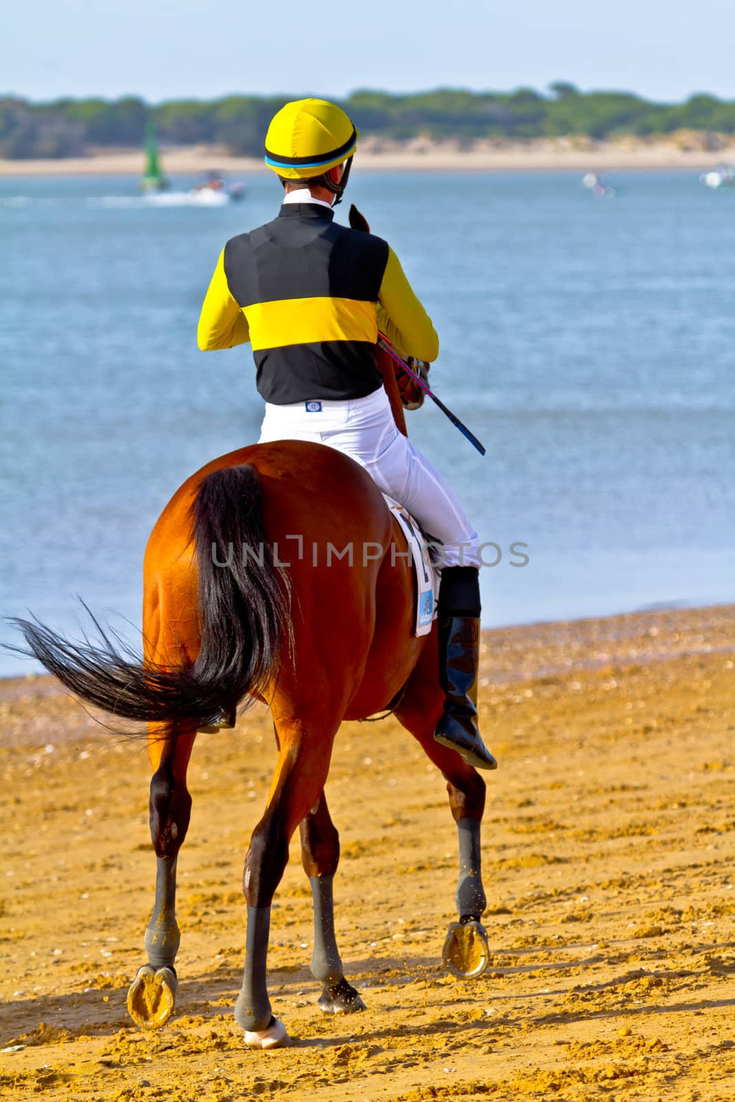 SANLUCAR DE BARRAMEDA, CADIZ, SPAIN - AUGUST 10: Unidentified rider at the start of race horses on Sanlucar de Barrameda beach on August 10, 2011 in Sanlucar de Barrameda, Cadiz, Spain.
