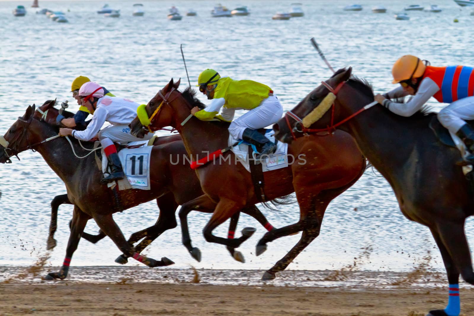 SANLUCAR DE BARRAMEDA, CADIZ, SPAIN - AUGUST 10: Unidentified riders race horses on Sanlucar de Barrameda beach on August 10, 2011 in Sanlucar de Barrameda, Cadiz, Spain.