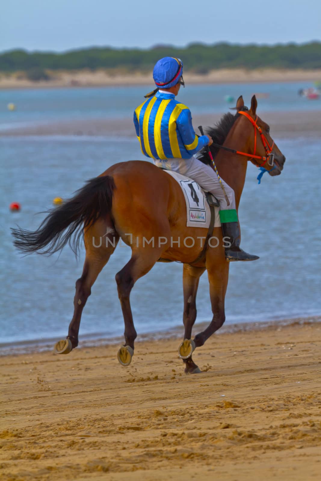 SANLUCAR DE BARRAMEDA, CADIZ, SPAIN - AUGUST 11: Unidentified rider at the start of race horses on Sanlucar de Barrameda beach on August 11, 2011 in Sanlucar de Barrameda, Cadiz, Spain.