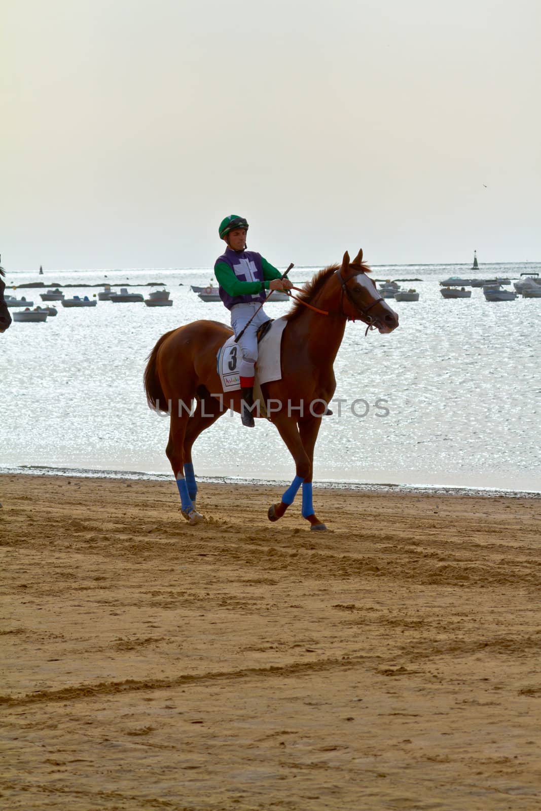 SANLUCAR DE BARRAMEDA, CADIZ, SPAIN - AUGUST 11: Unidentified rider at the start of race horses on Sanlucar de Barrameda beach on August 11, 2011 in Sanlucar de Barrameda, Cadiz, Spain.