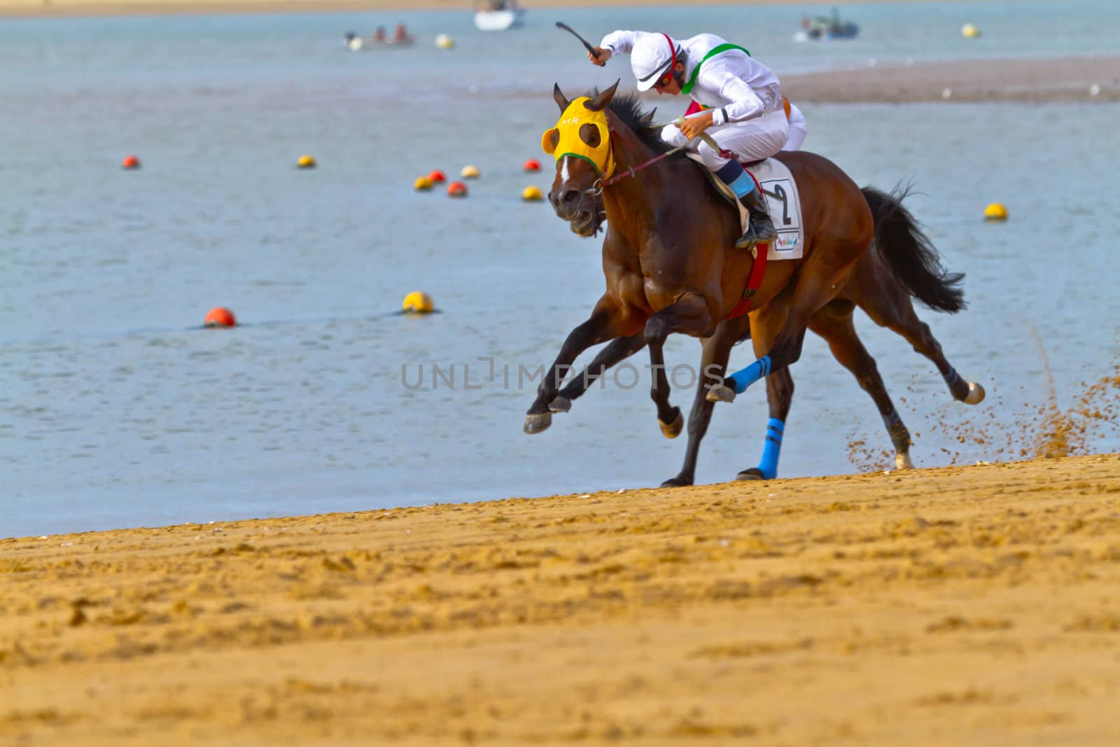 SANLUCAR DE BARRAMEDA, CADIZ, SPAIN - AUGUST 11: Unidentified riders race horses on Sanlucar de Barrameda beach on August 11, 2011 in Sanlucar de Barrameda, Cadiz, Spain.