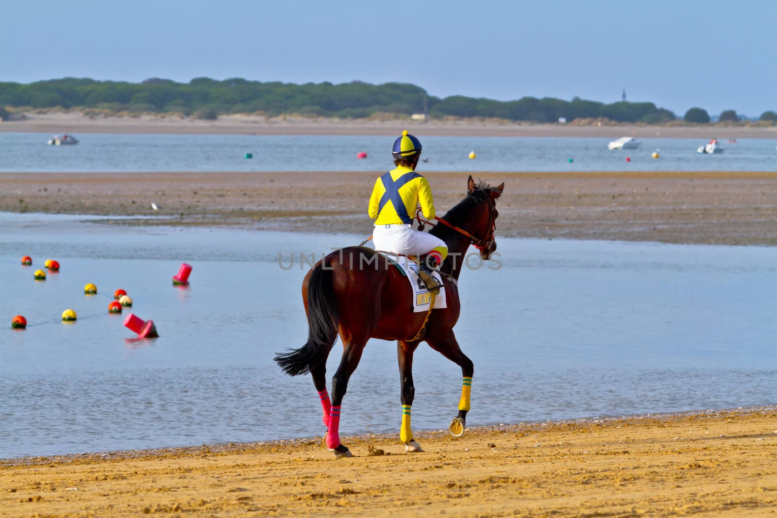 SANLUCAR DE BARRAMEDA, CADIZ, SPAIN - AUGUST 11: Unidentified rider at the start of race horses on Sanlucar de Barrameda beach on August 11, 2011 in Sanlucar de Barrameda, Cadiz, Spain.