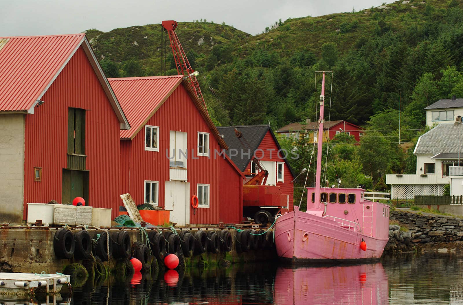 Pink fishing boat in a Norwegian harbor
