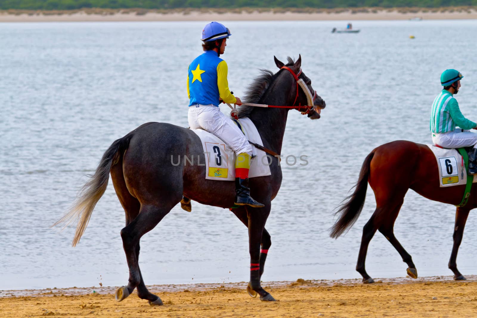 SANLUCAR DE BARRAMEDA, CADIZ, SPAIN - AUGUST 11: Unidentified riders at the start of race horses on Sanlucar de Barrameda beach on August 11, 2011 in Sanlucar de Barrameda, Cadiz, Spain.