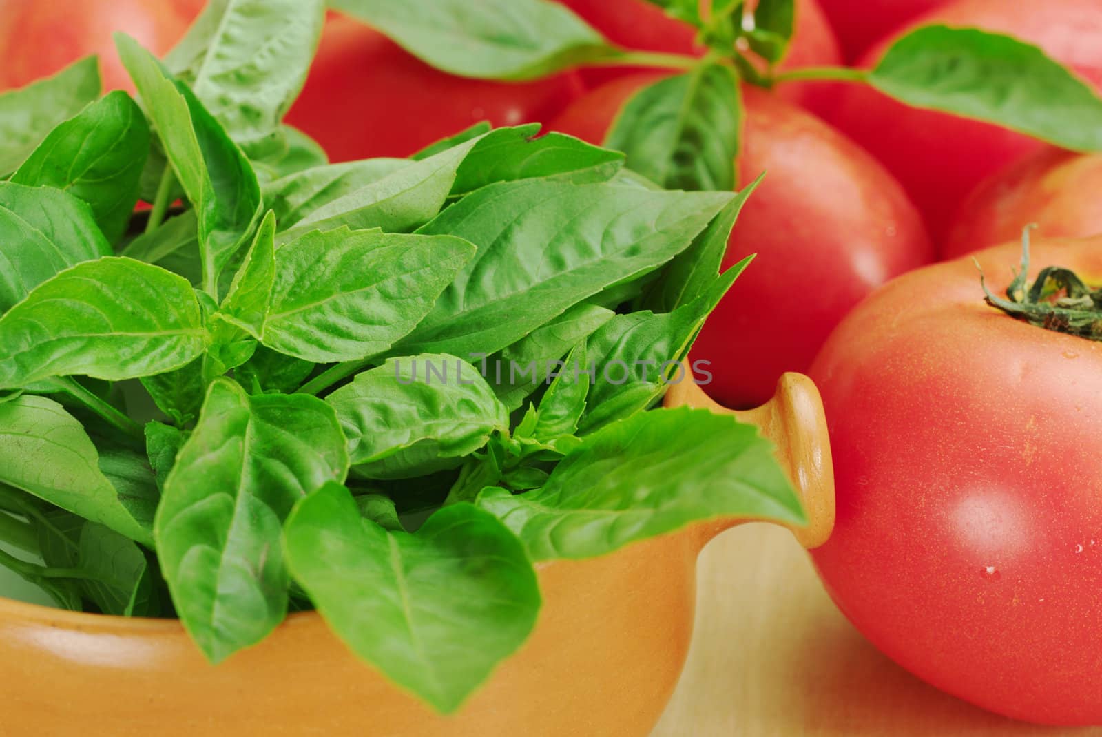Basil in a soup bowl with tomatoes around it