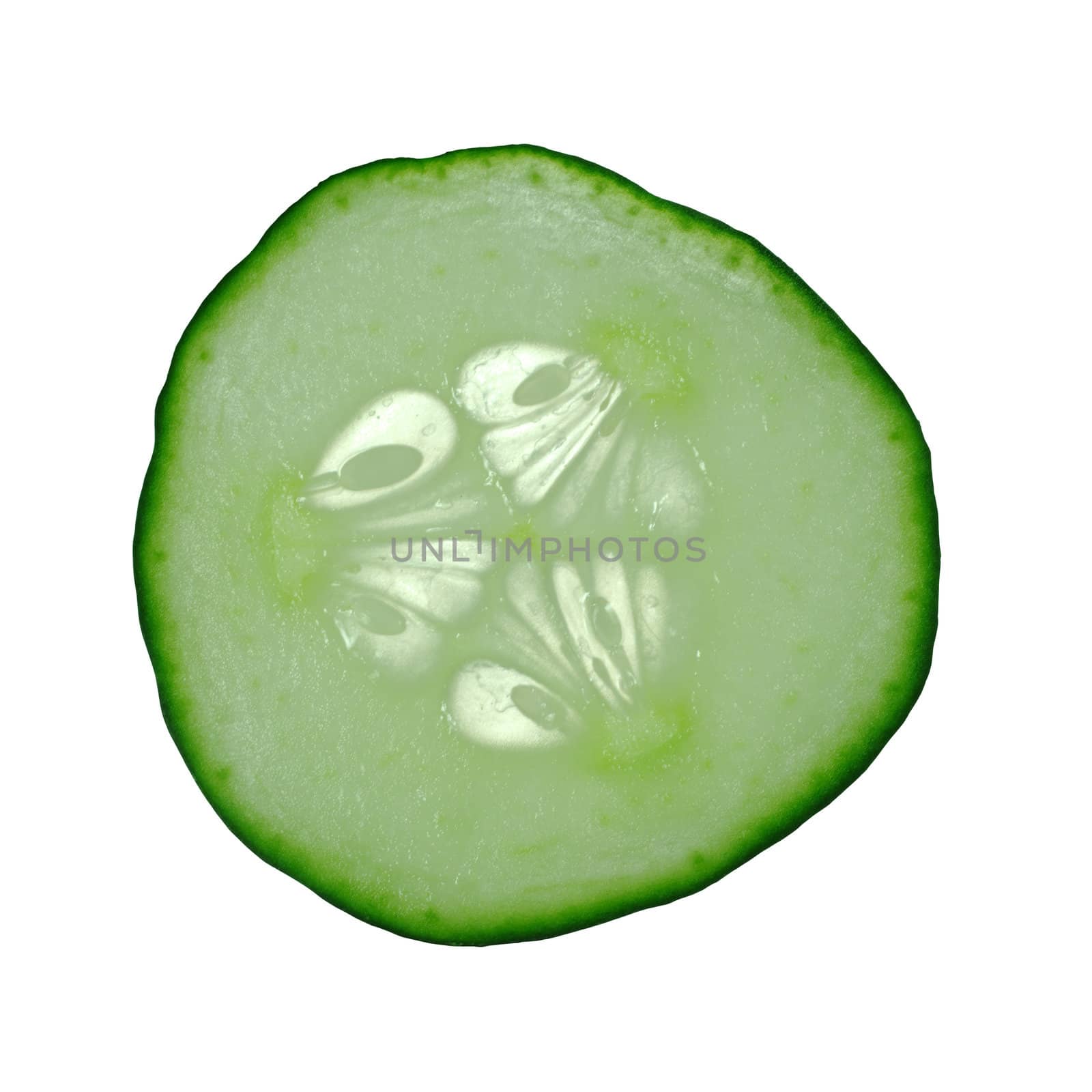 Macro Shot of a Cucumber Slice  by ildi