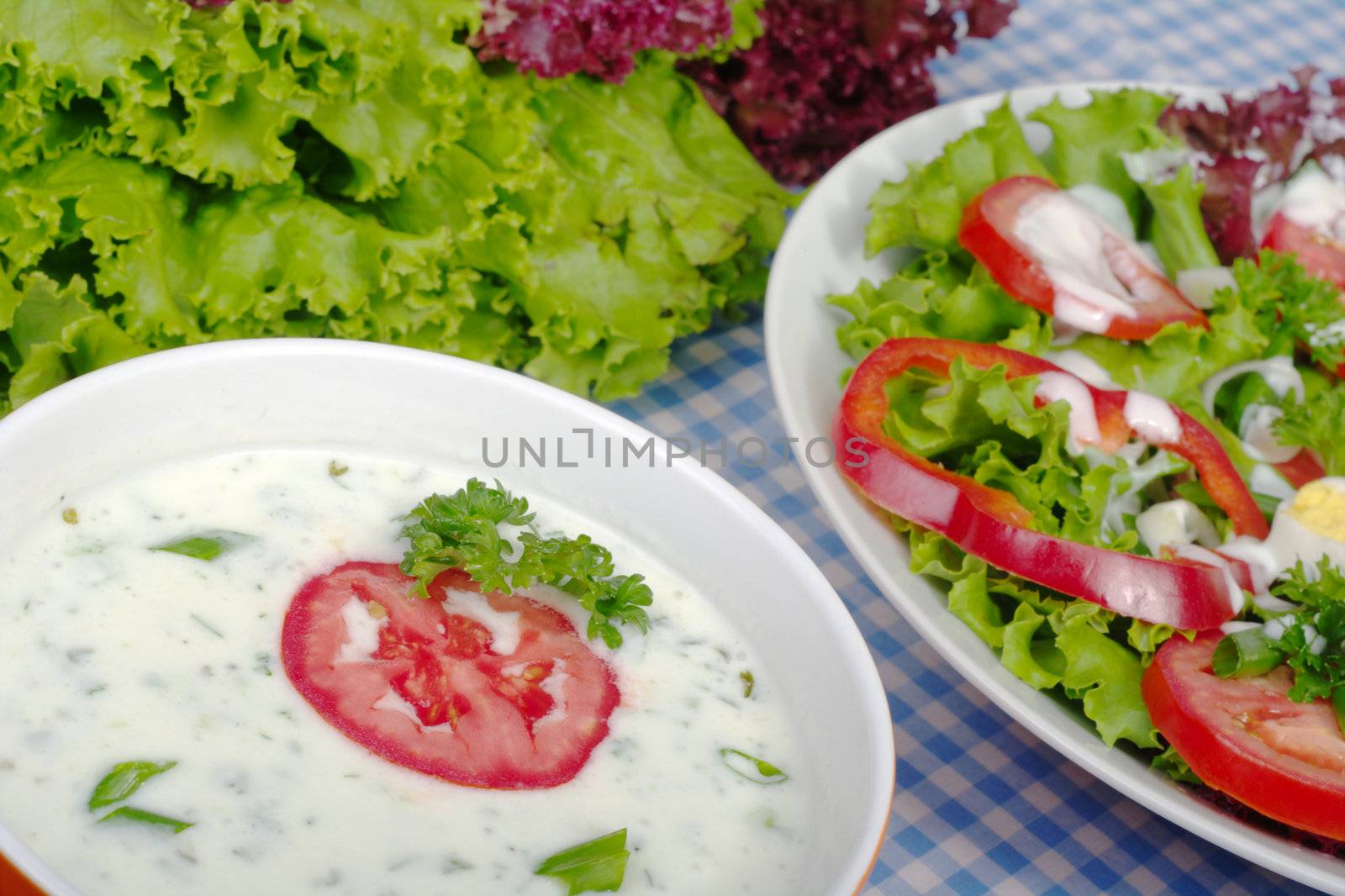 Yoghurt Salad Dressing out of Garlic, Oregano, Salt and Pepper, decorated with Tomate and Parsley with a Salad and Lettuce in the Background