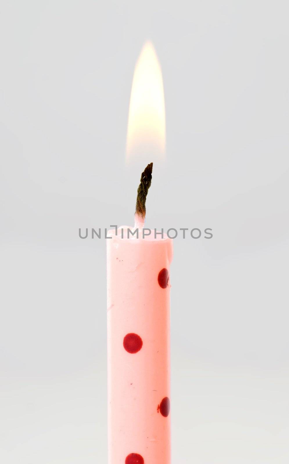 single birthday candle by clearviewstock
