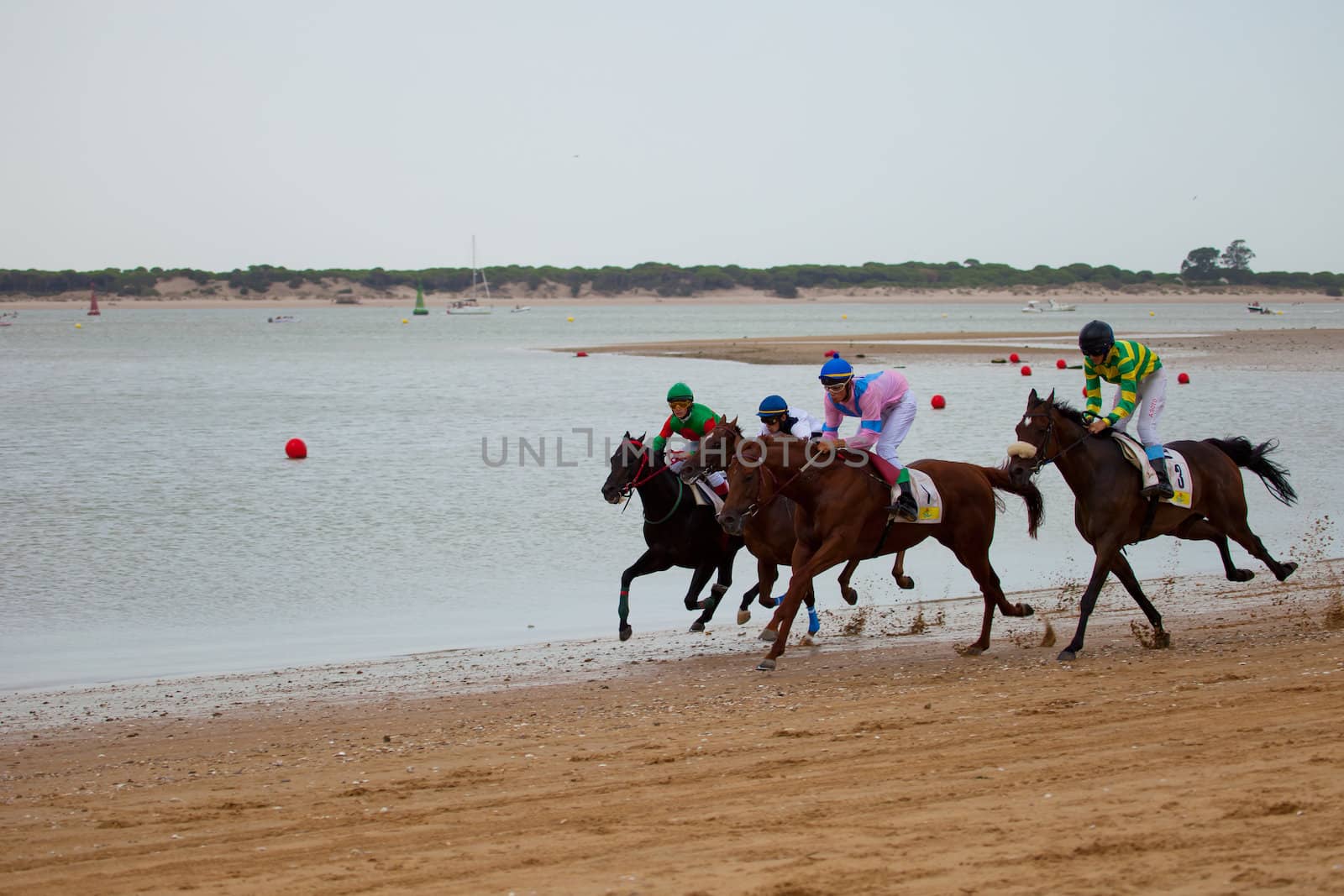 SANLUCAR DE BARRAMEDA, CADIZ, SPAIN - AUGUST 07: Unidentified riders race horses on Sanlucar de Barrameda beach on August 07, 2010 in Sanlucar de Barrameda, Cadiz, Spain.