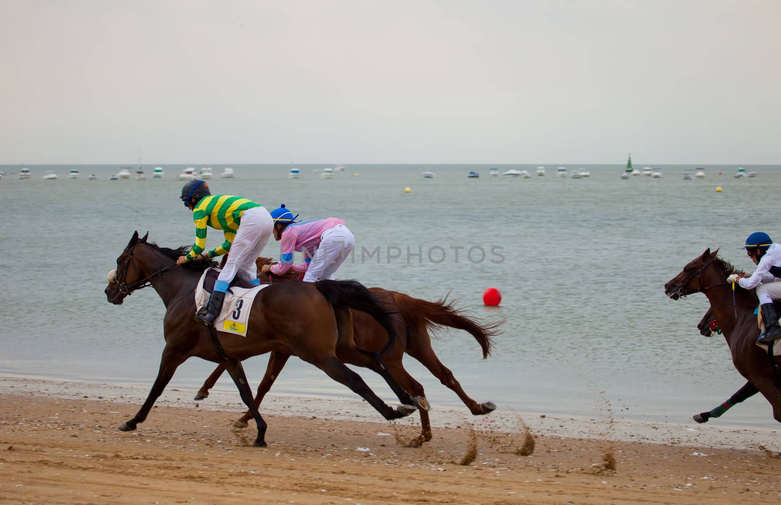 SANLUCAR DE BARRAMEDA, CADIZ, SPAIN - AUGUST 07: Unidentified riders race horses on Sanlucar de Barrameda beach on August 07, 2010 in Sanlucar de Barrameda, Cadiz, Spain.
