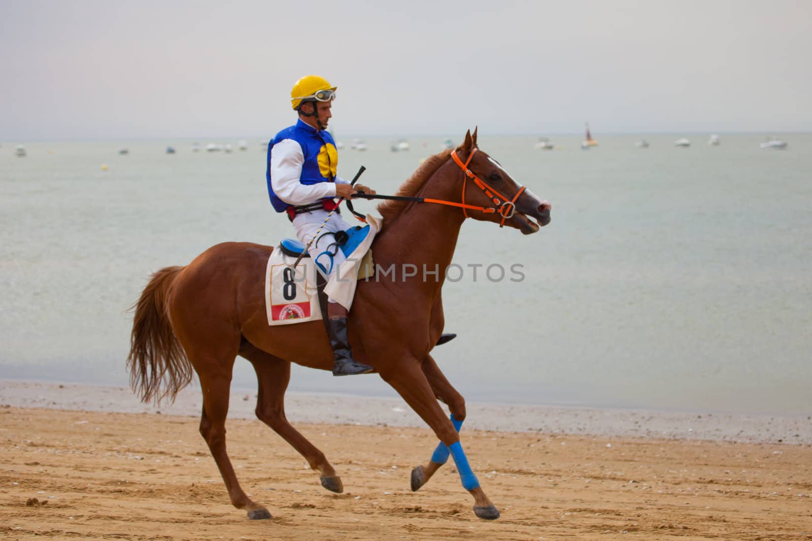 SANLUCAR DE BARRAMEDA, CADIZ, SPAIN - AUGUST 07: Unidentified rider at the start of race horses on Sanlucar de Barrameda beach on  August 07, 2010 in Sanlucar de Barrameda, Cadiz, Spain.