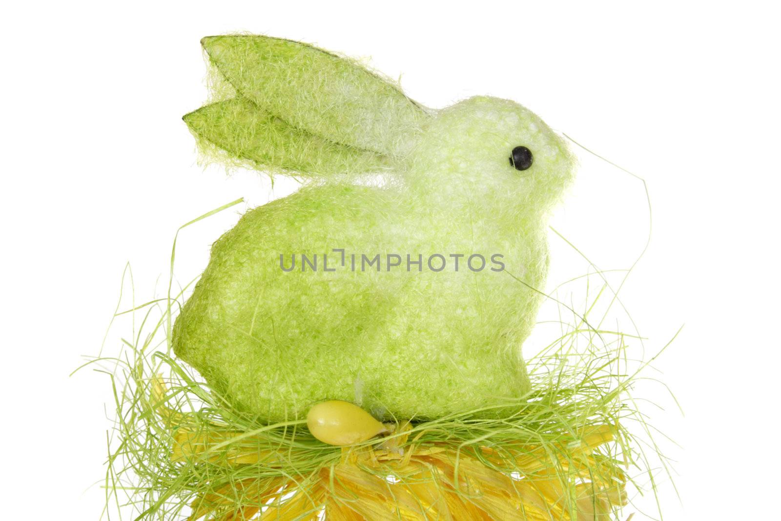 Easter hare, photo on the white background