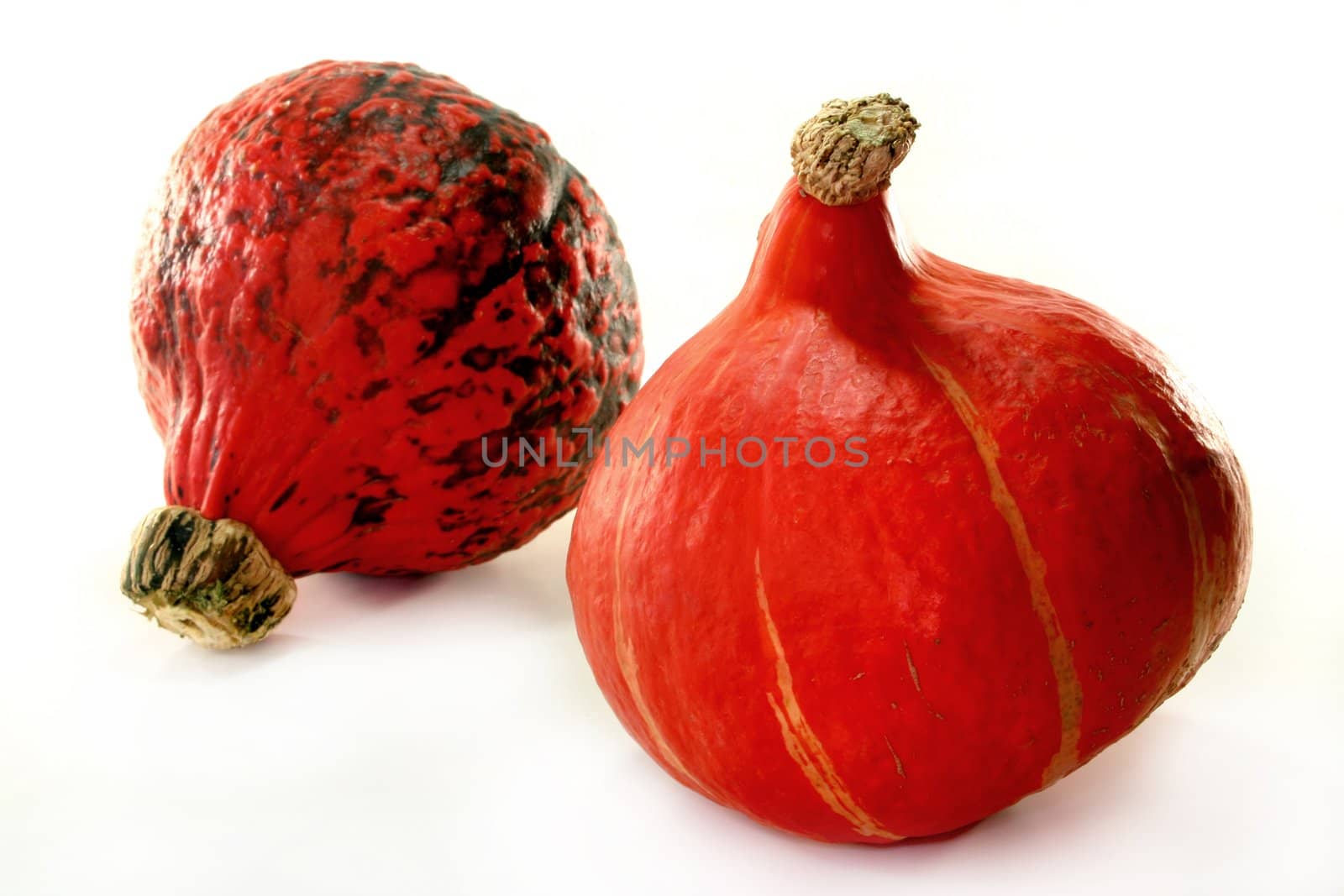two pumpkins on a white background