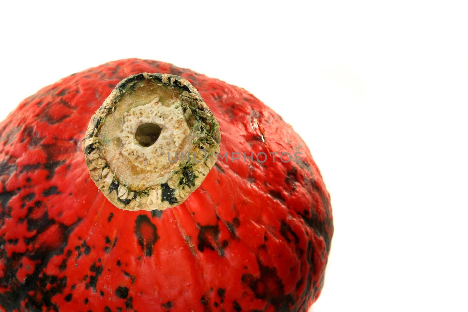 an orange pumpkin on a white background