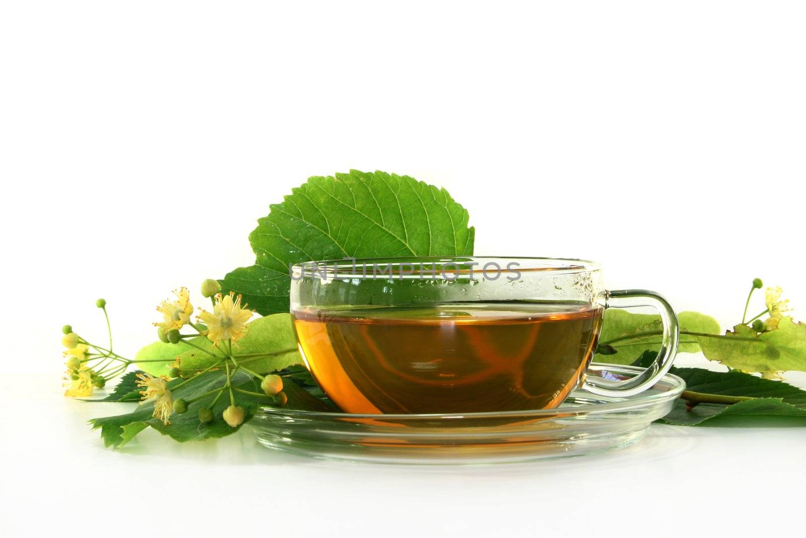 a cup of lime blossom tea with fresh flowers