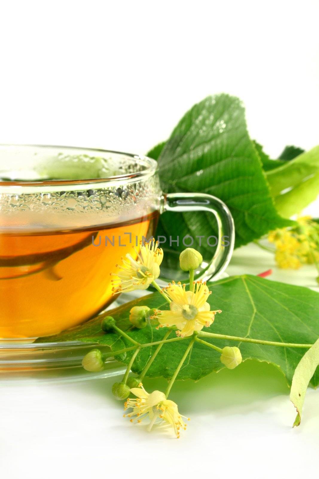 a cup of lime blossom tea with fresh flowers