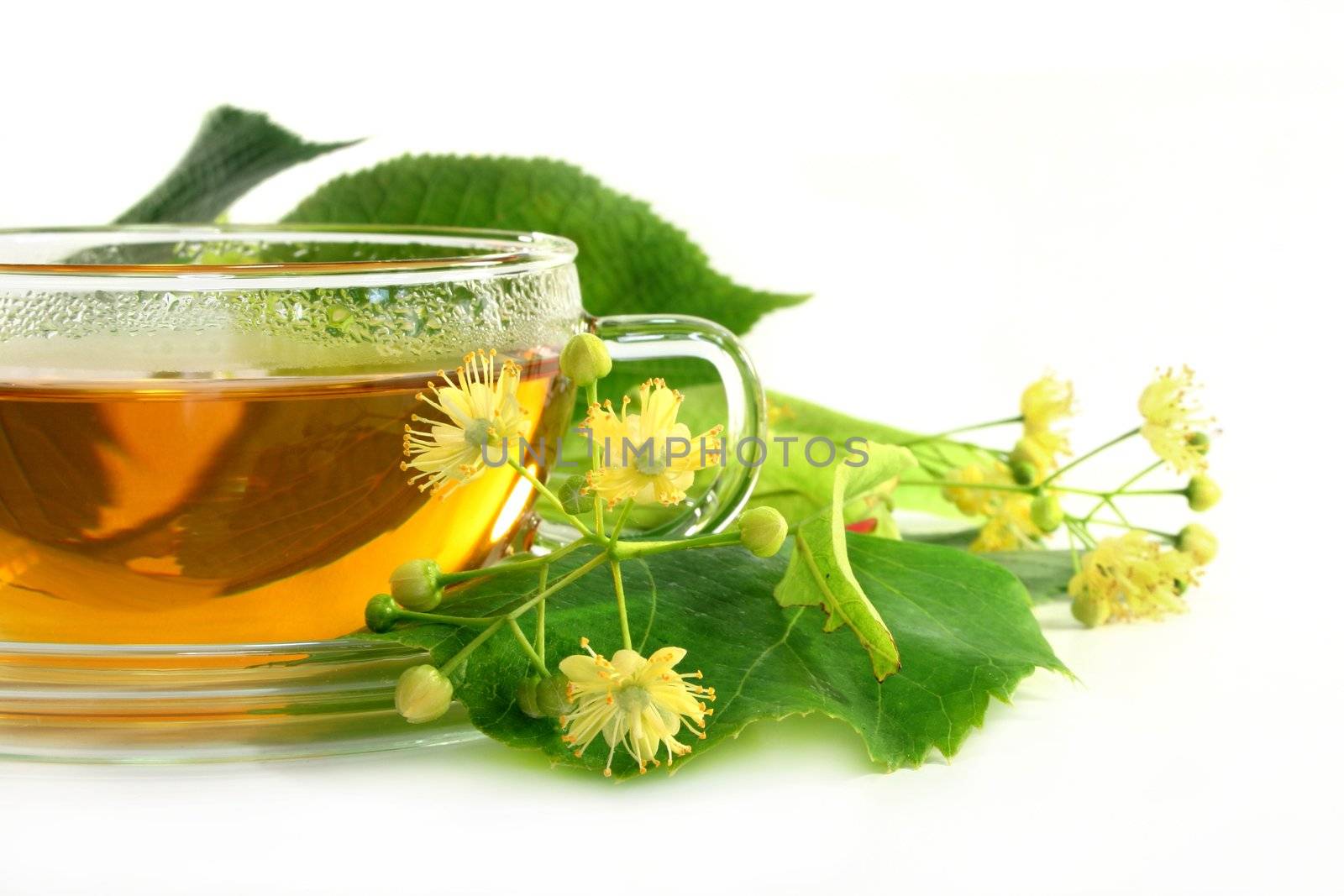 a cup of lime blossom tea with fresh flowers