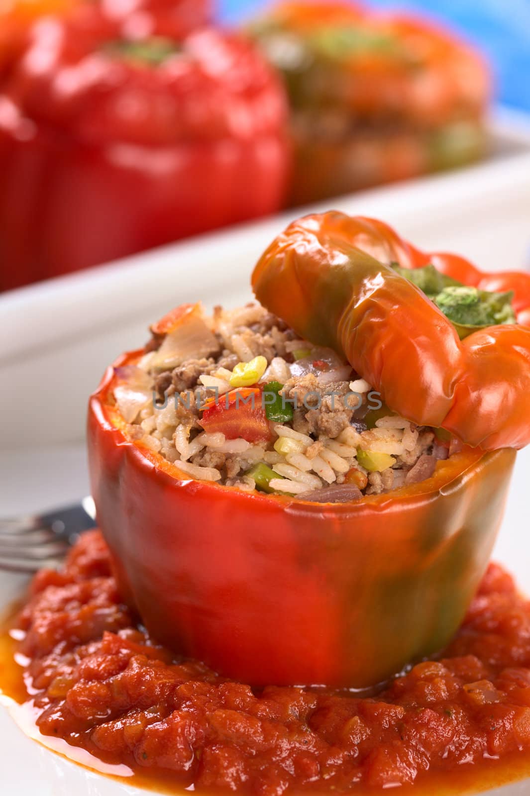 Baked stuffed red bell pepper filled with minced meat, onion, rice, tomato and green onion served on tomato sauce with casserole in the back (Selective Focus, Focus on the tomato piece and the stuffing around it on the top)
