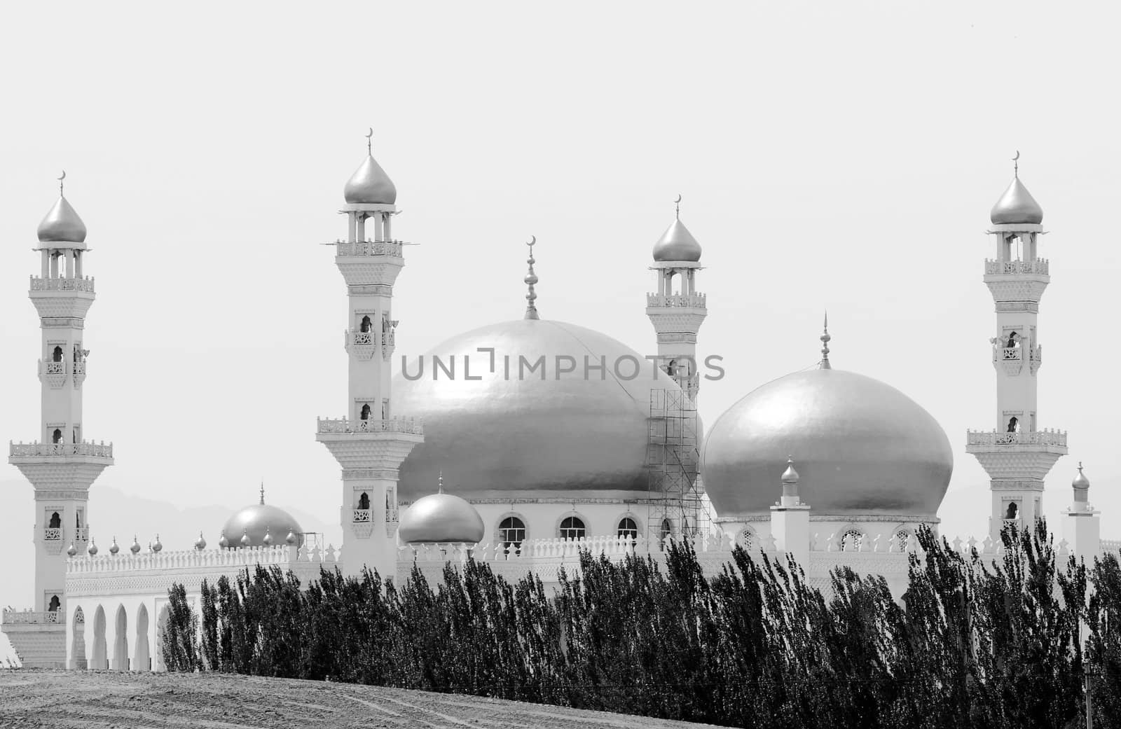 Domes and towers of a golden mosque