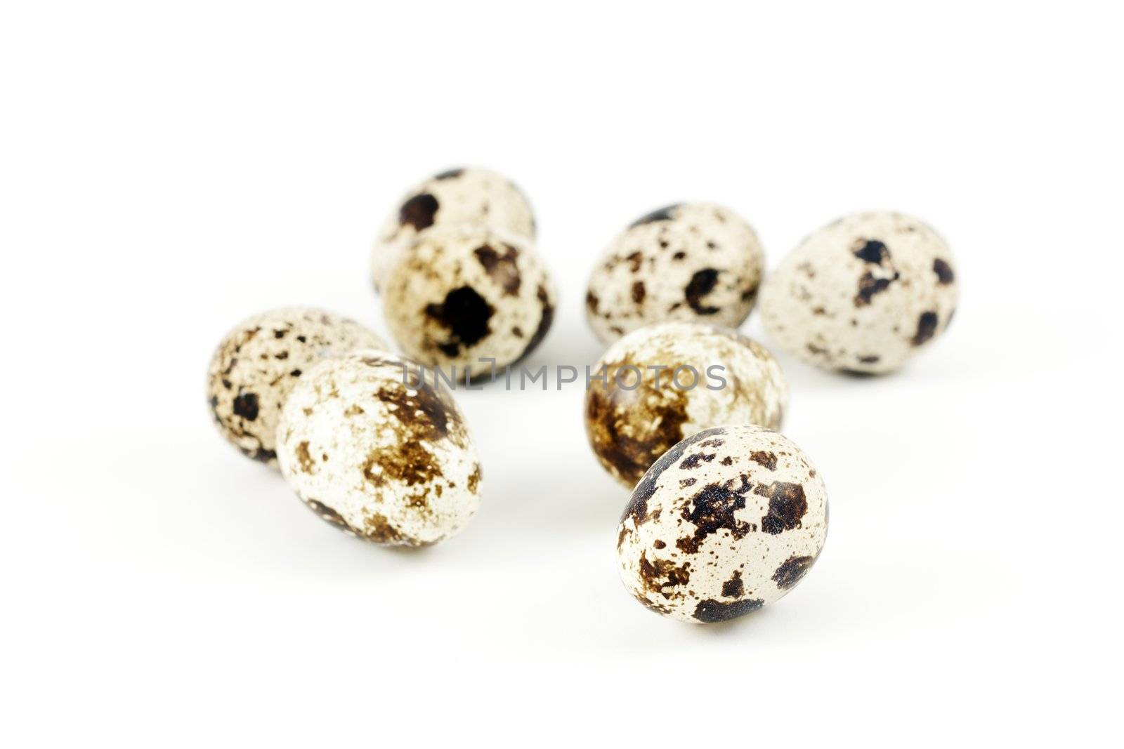 Quail eggs on white background. Shallow DOF, focus on first egg.