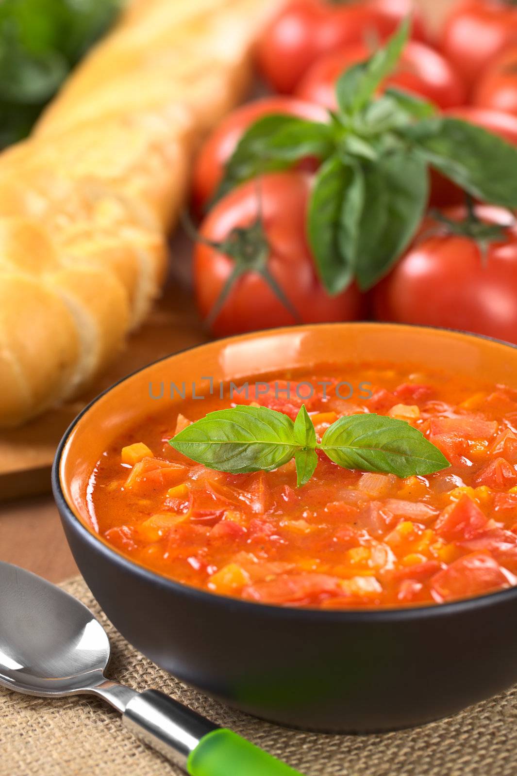 Chunky tomato soup made of tomatoes, carrots and onions and garnished with a basil leaf (Selective Focus, Focus on the basil leaf on the soup)