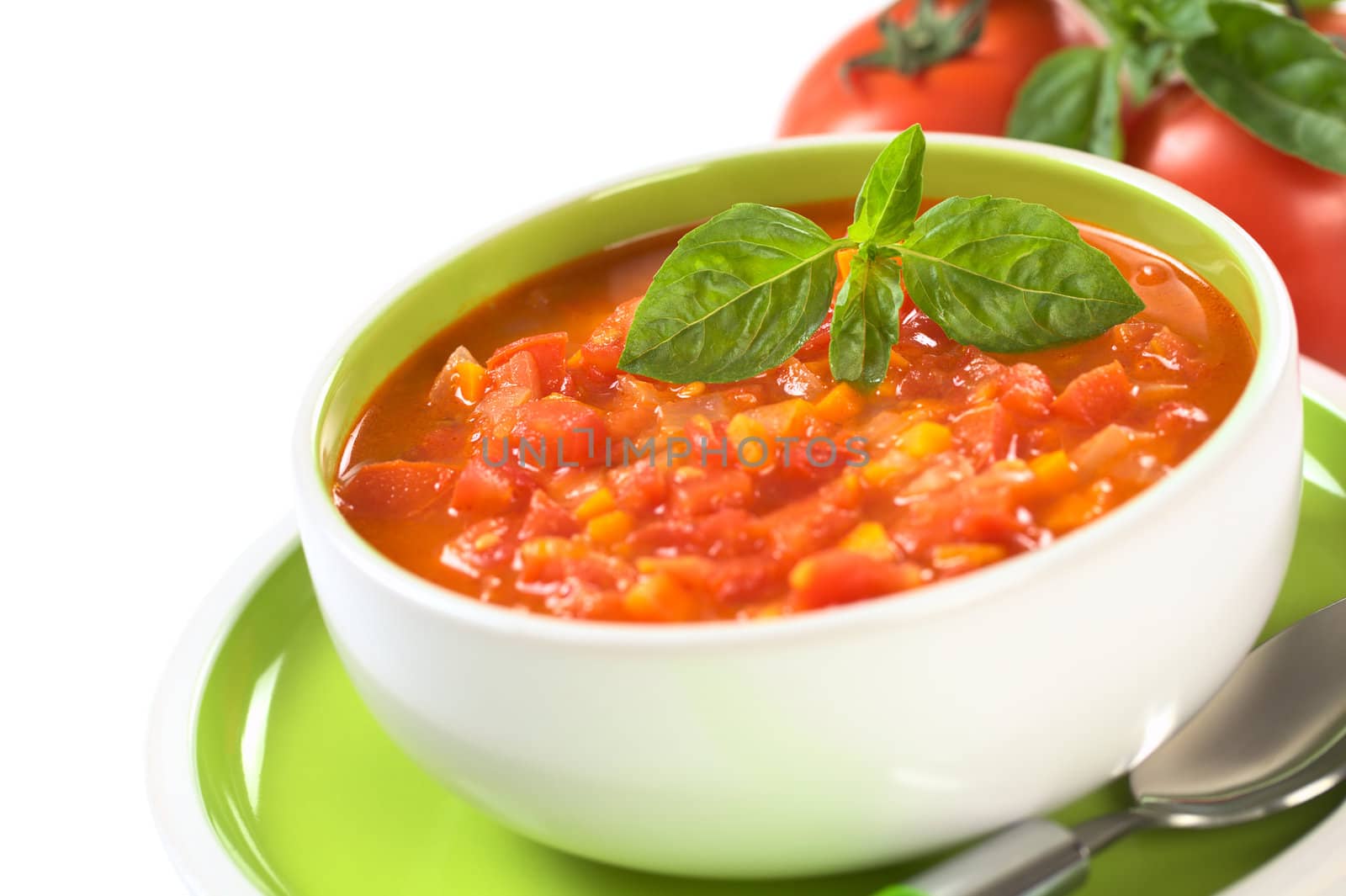 Chunky Tomato Soup by ildi