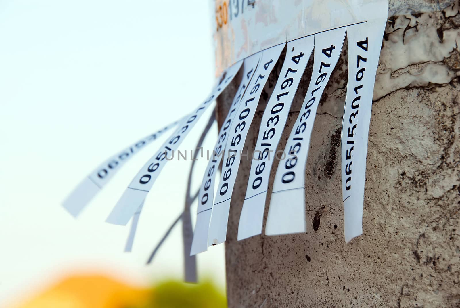 ad details with telephone number on pillar