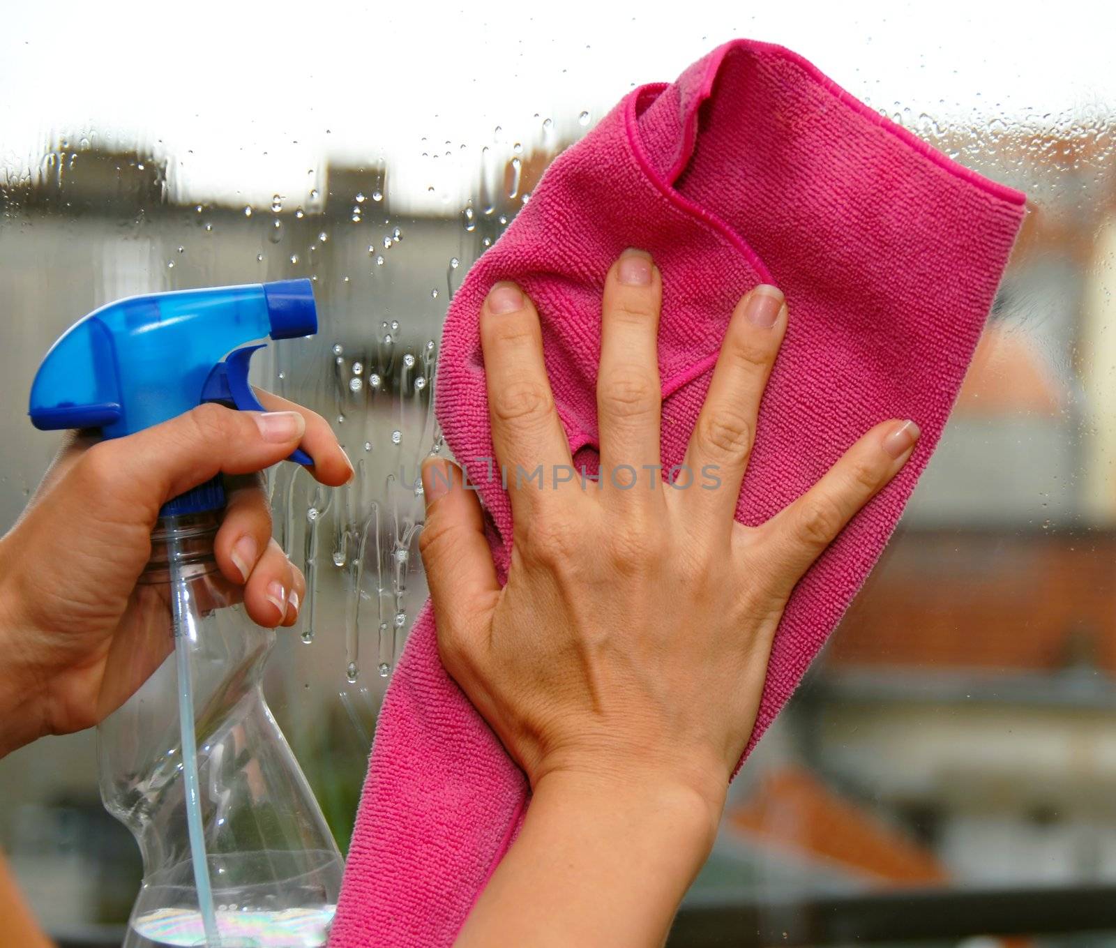 young woman hands on window cleaning a glass